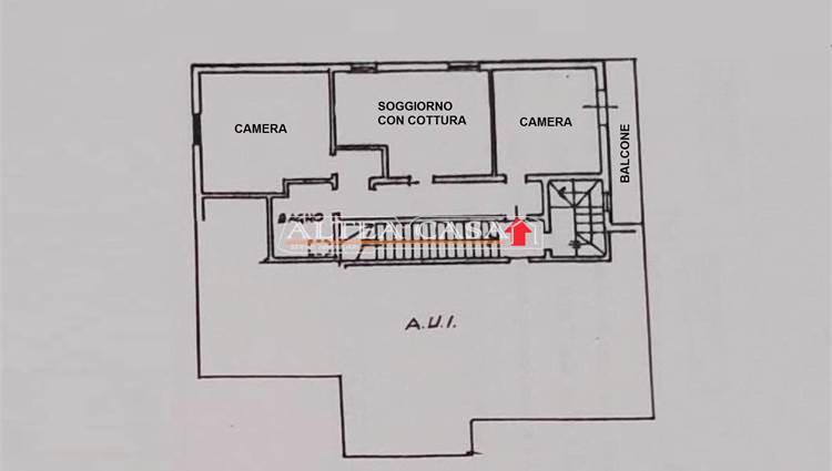 DISEGNO